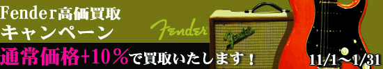 Qsic Fender 高価買取　キャンペーン