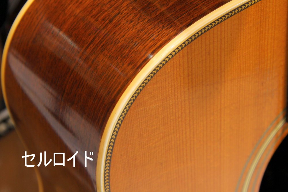 セルロイド バインディング