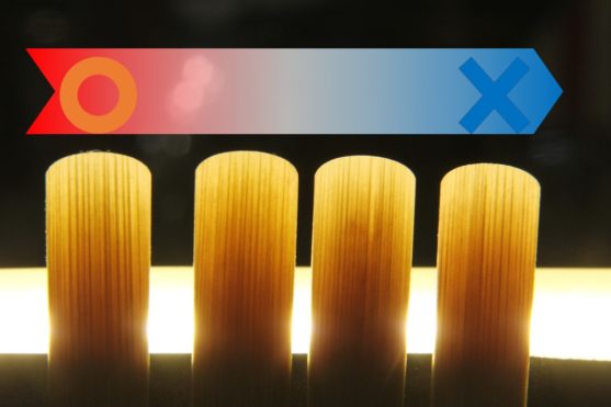 繊維の状態を見て